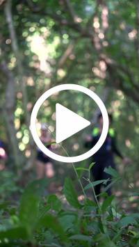 BIB:  <button type="button" onclick="openModal(28068121)" class="btn btn-primary btn-sm float-right" data-toggle="modal" data-target=".modal-high-quality">
                <i class="fa fa-download"></i> Download
                </button>